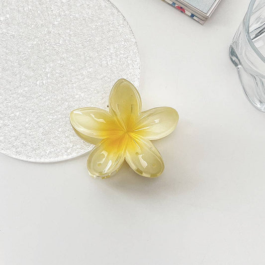 Blossom Hair Clip